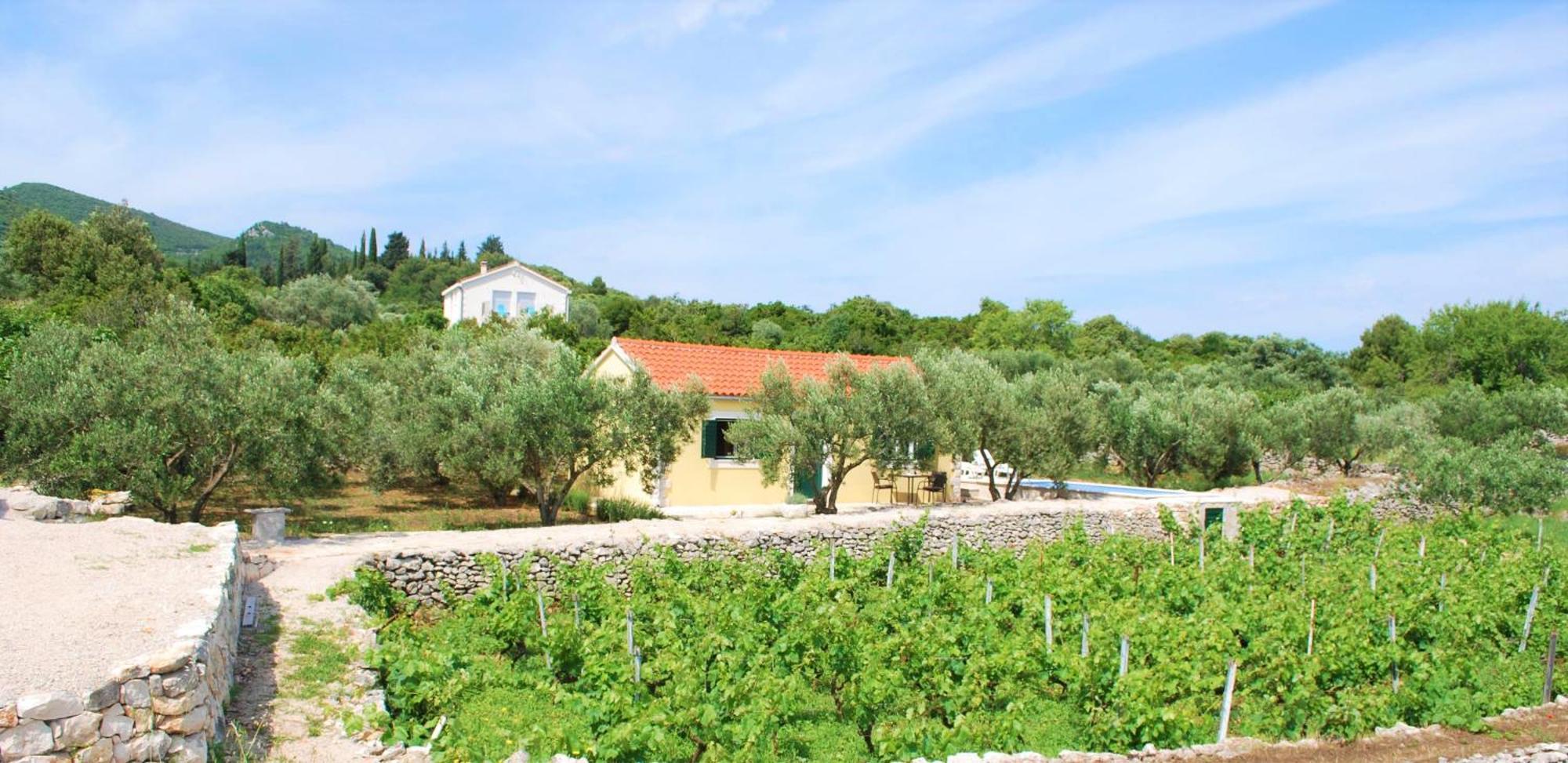 Vineyard House & Olive Grove House Villa Račišće Exteriör bild