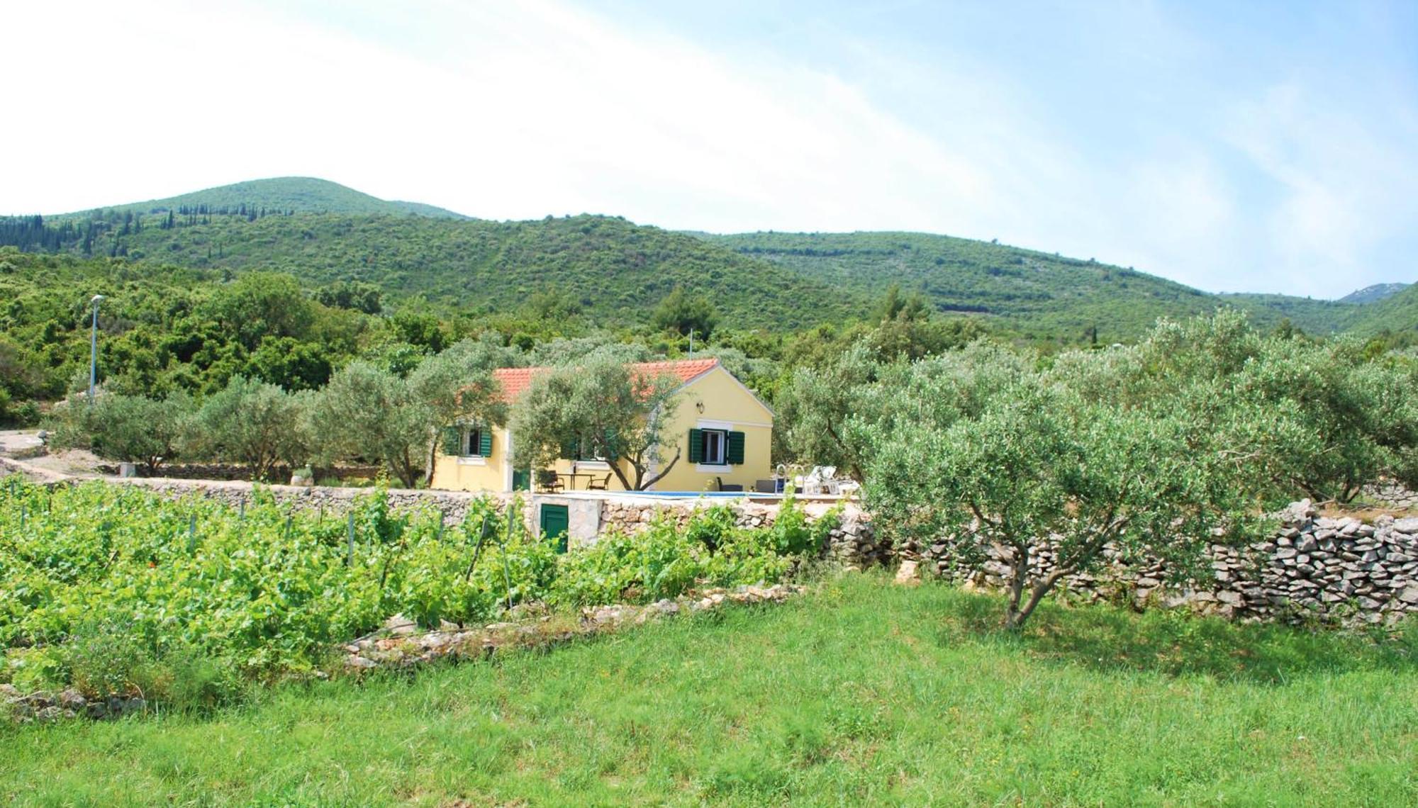 Vineyard House & Olive Grove House Villa Račišće Exteriör bild