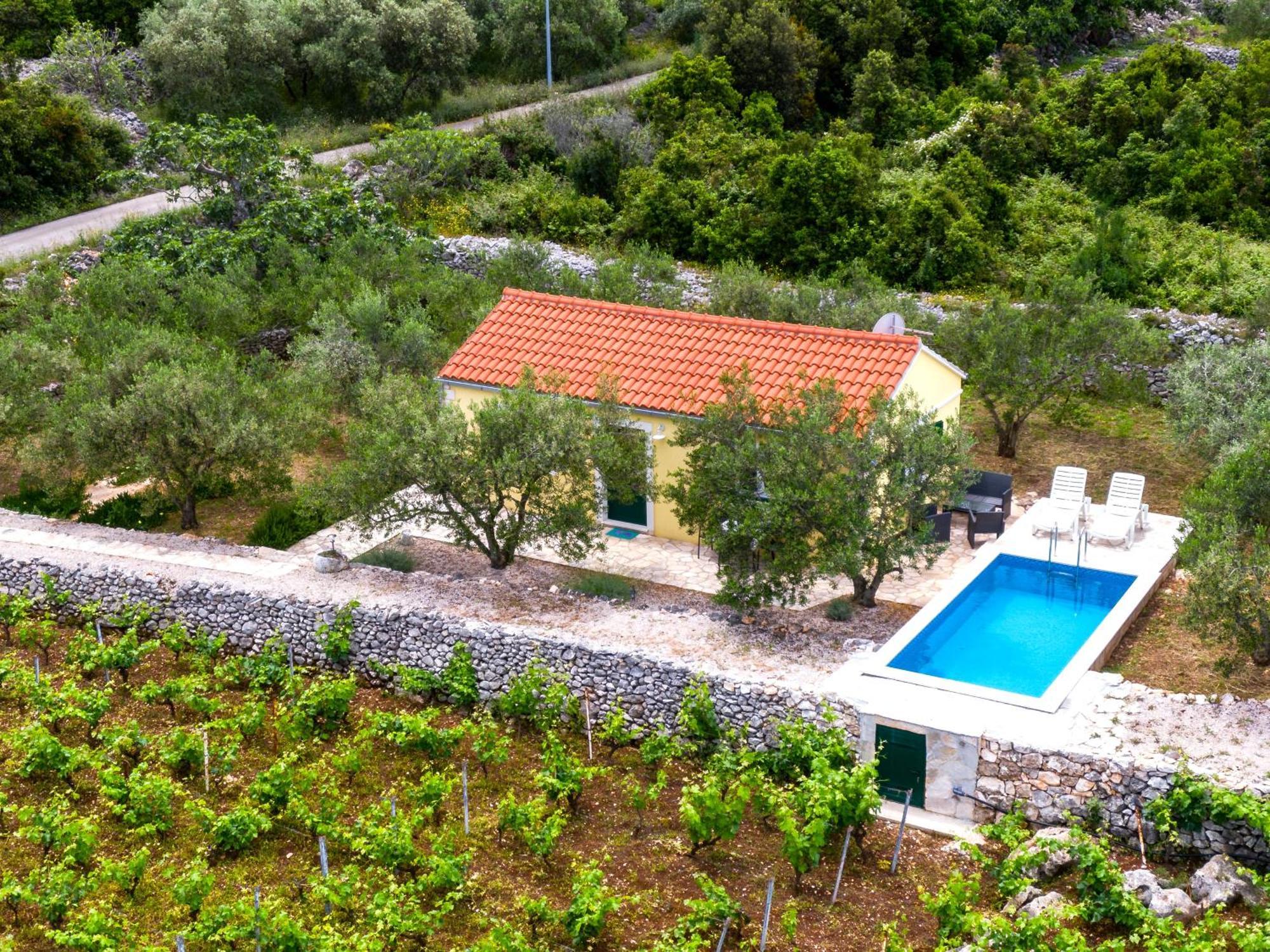 Vineyard House & Olive Grove House Villa Račišće Exteriör bild
