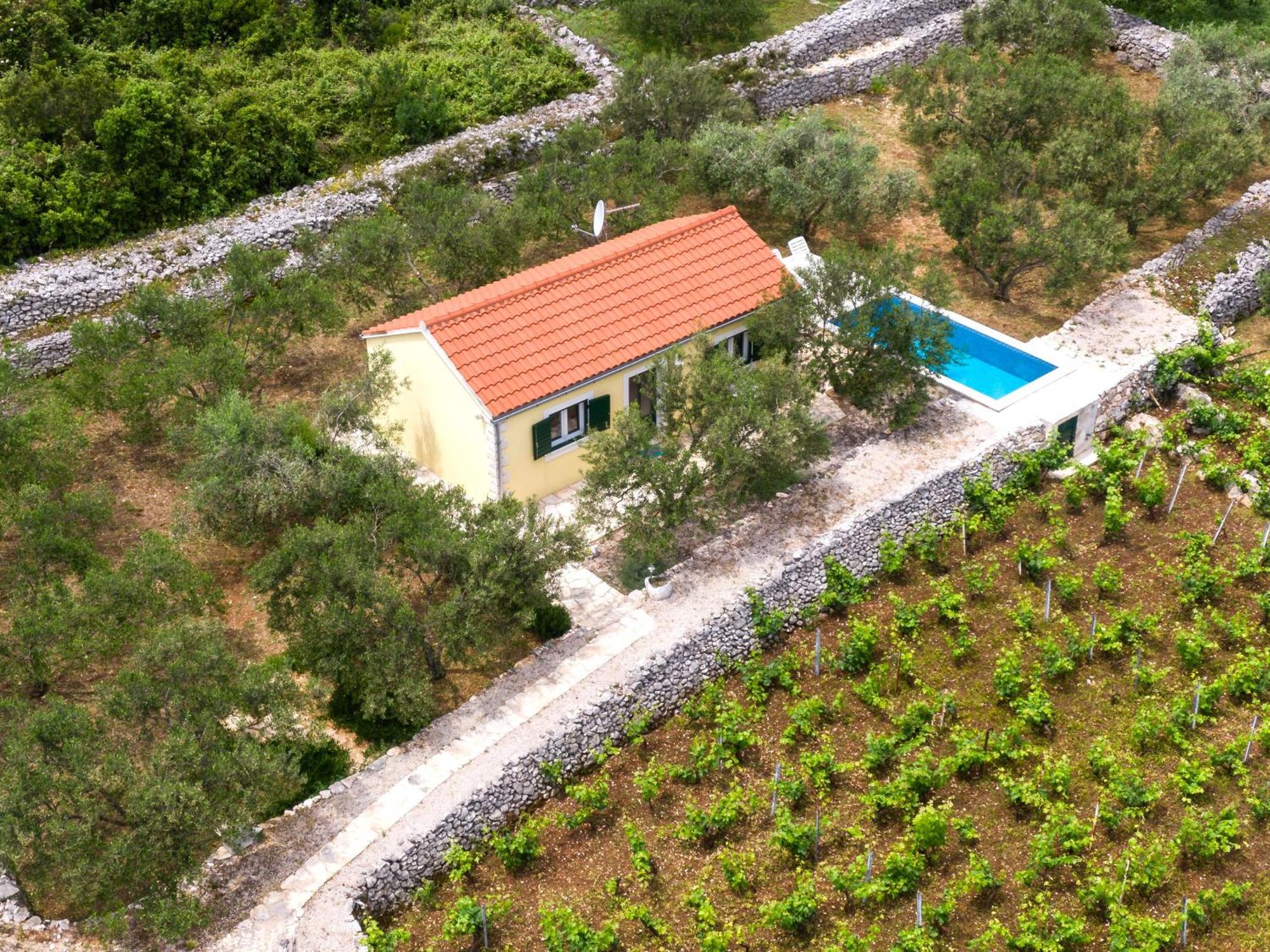Vineyard House & Olive Grove House Villa Račišće Exteriör bild
