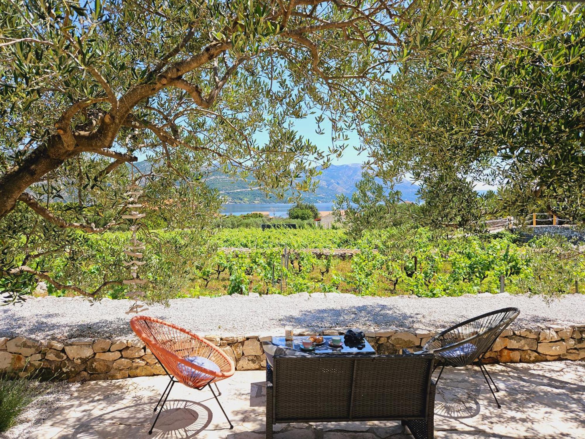 Vineyard House & Olive Grove House Villa Račišće Exteriör bild