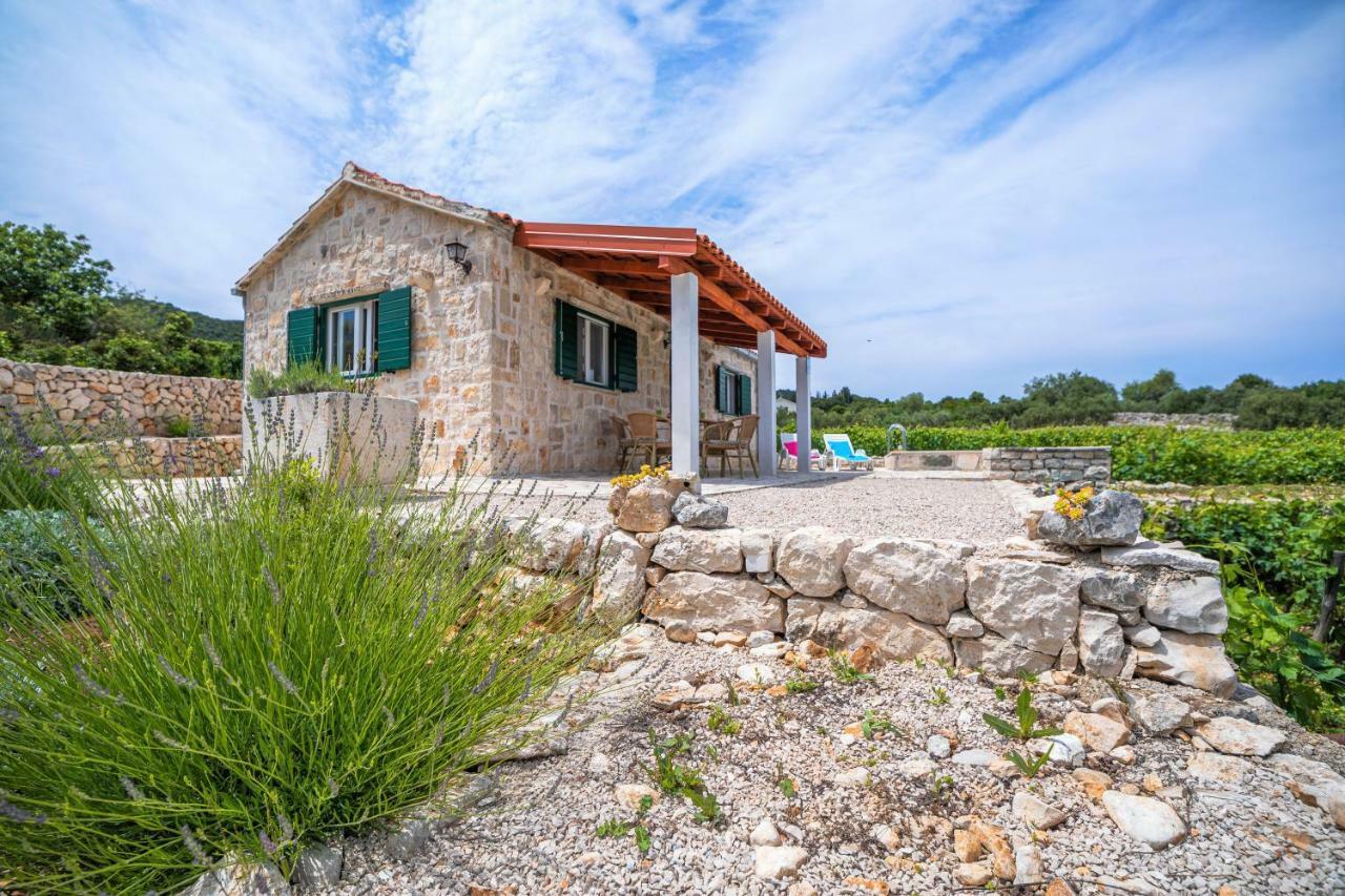 Vineyard House & Olive Grove House Villa Račišće Exteriör bild