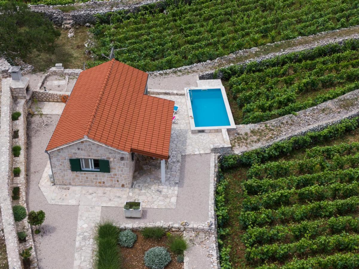 Vineyard House & Olive Grove House Villa Račišće Exteriör bild