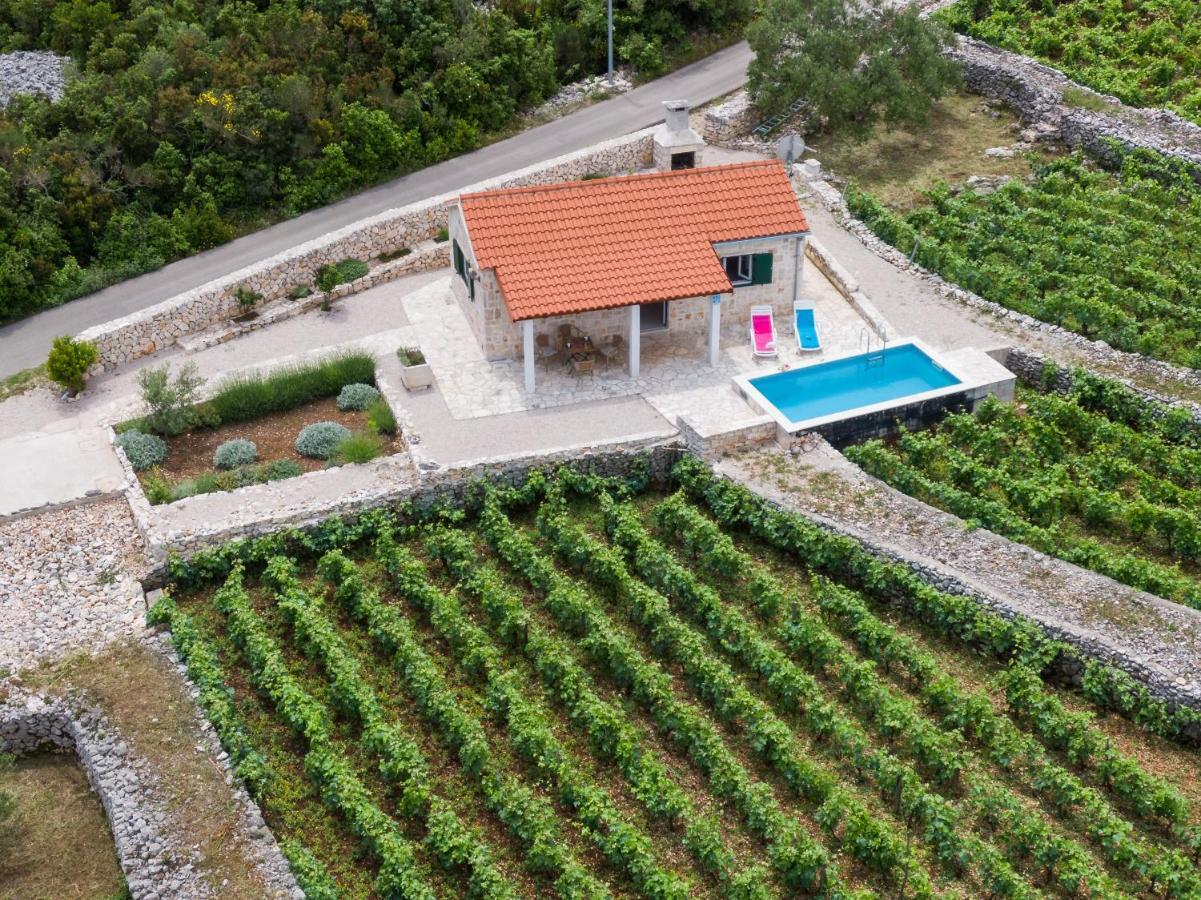 Vineyard House & Olive Grove House Villa Račišće Exteriör bild