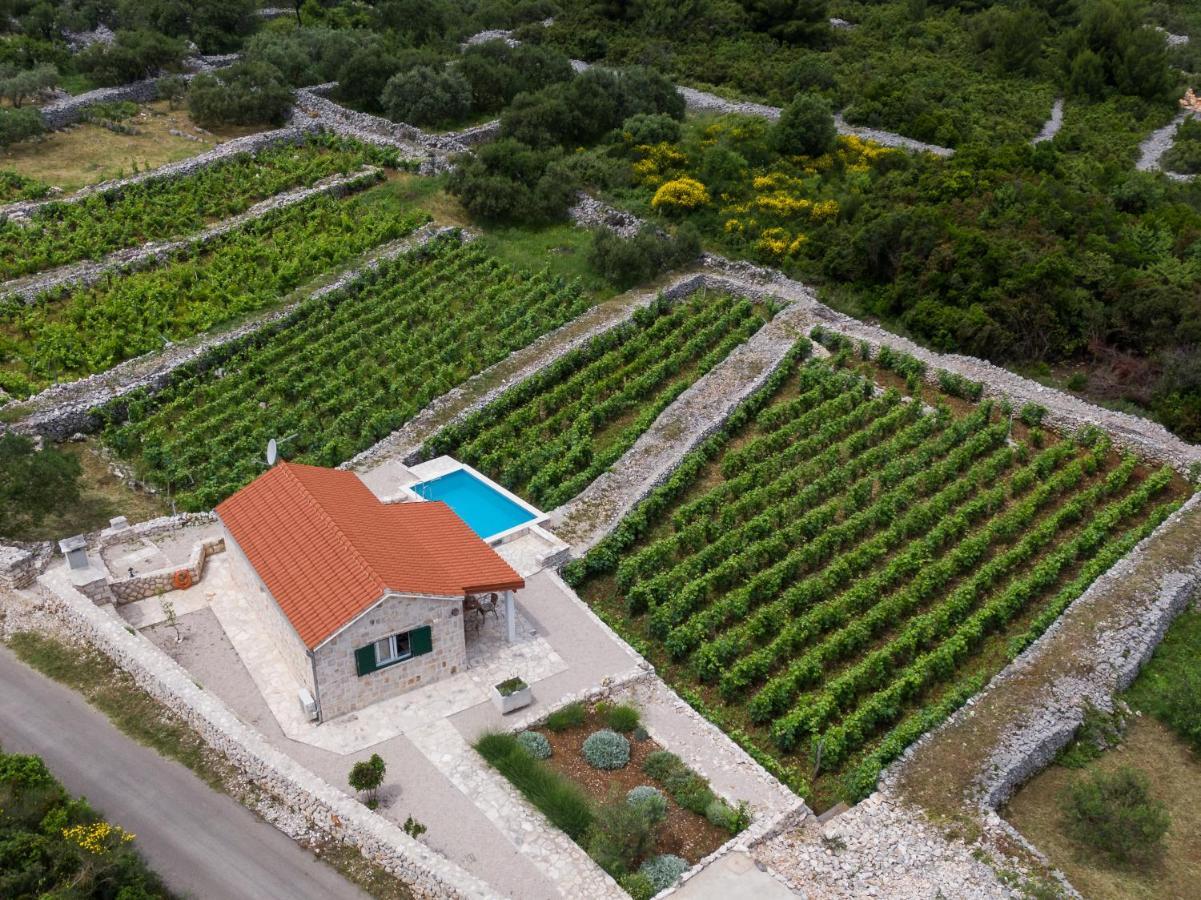 Vineyard House & Olive Grove House Villa Račišće Exteriör bild